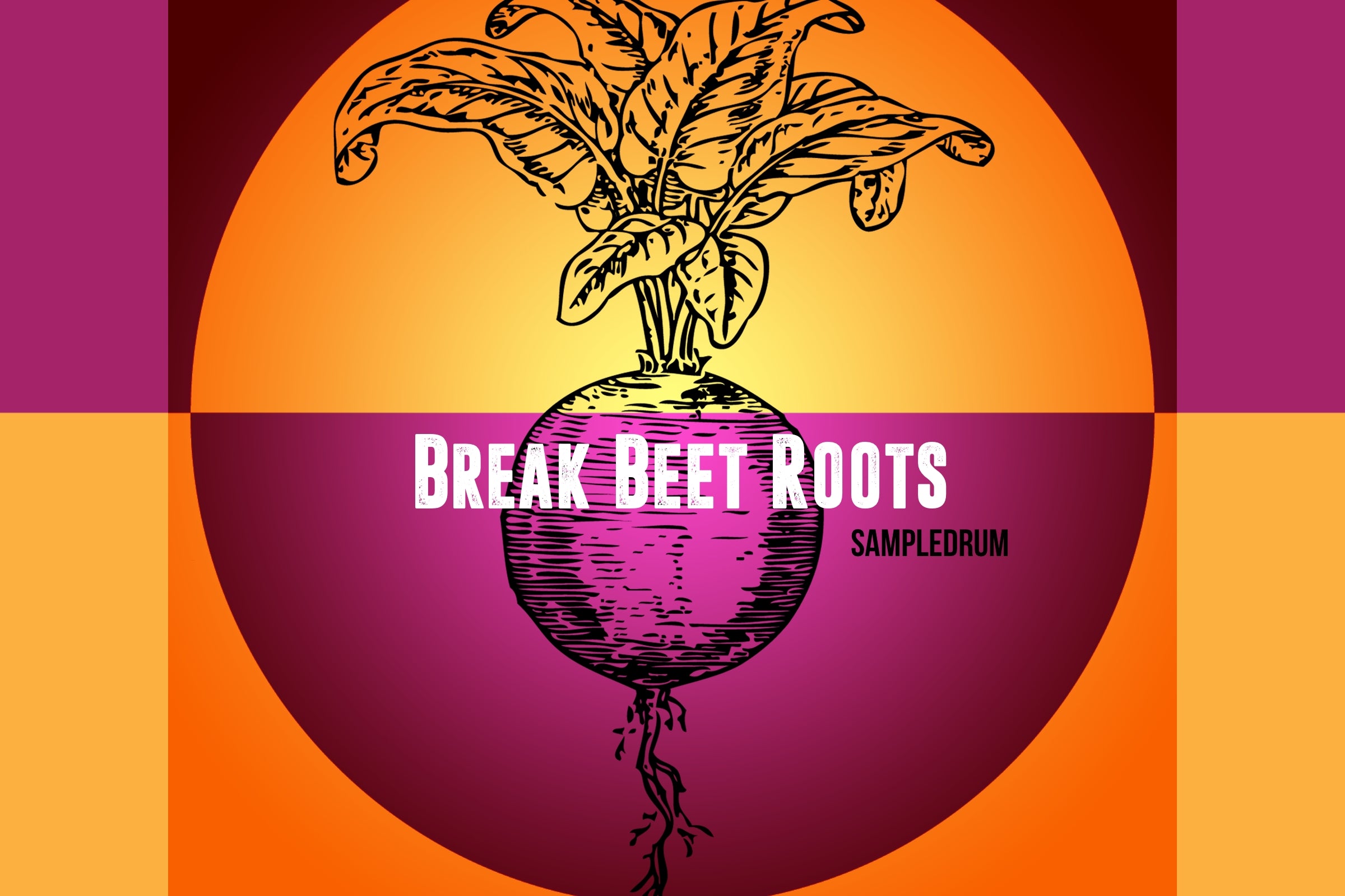 Presets for Sample Drum - Break Beat Roots